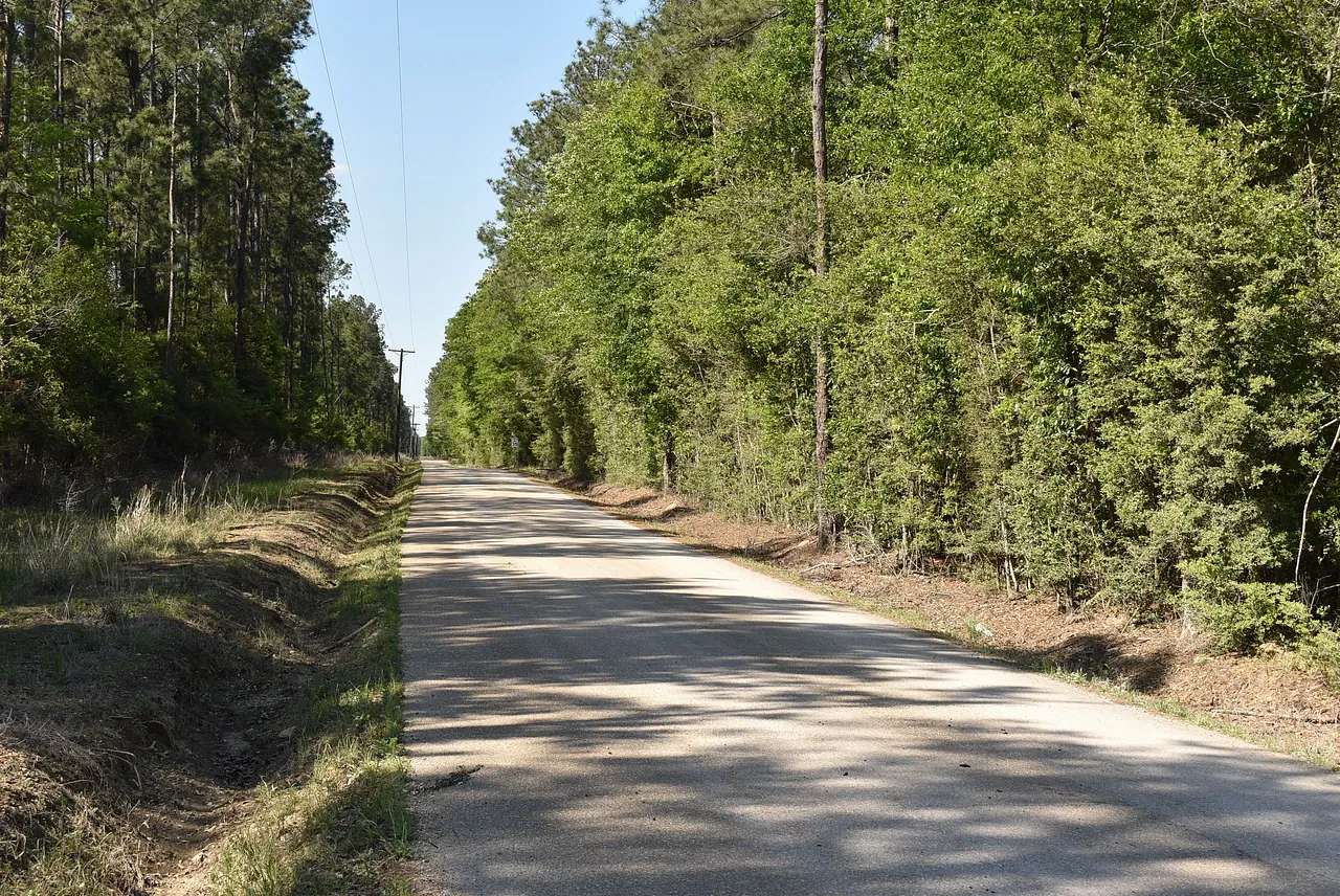 289 Acres of Recreational & Residential Land for Sale in Loranger, Louisiana