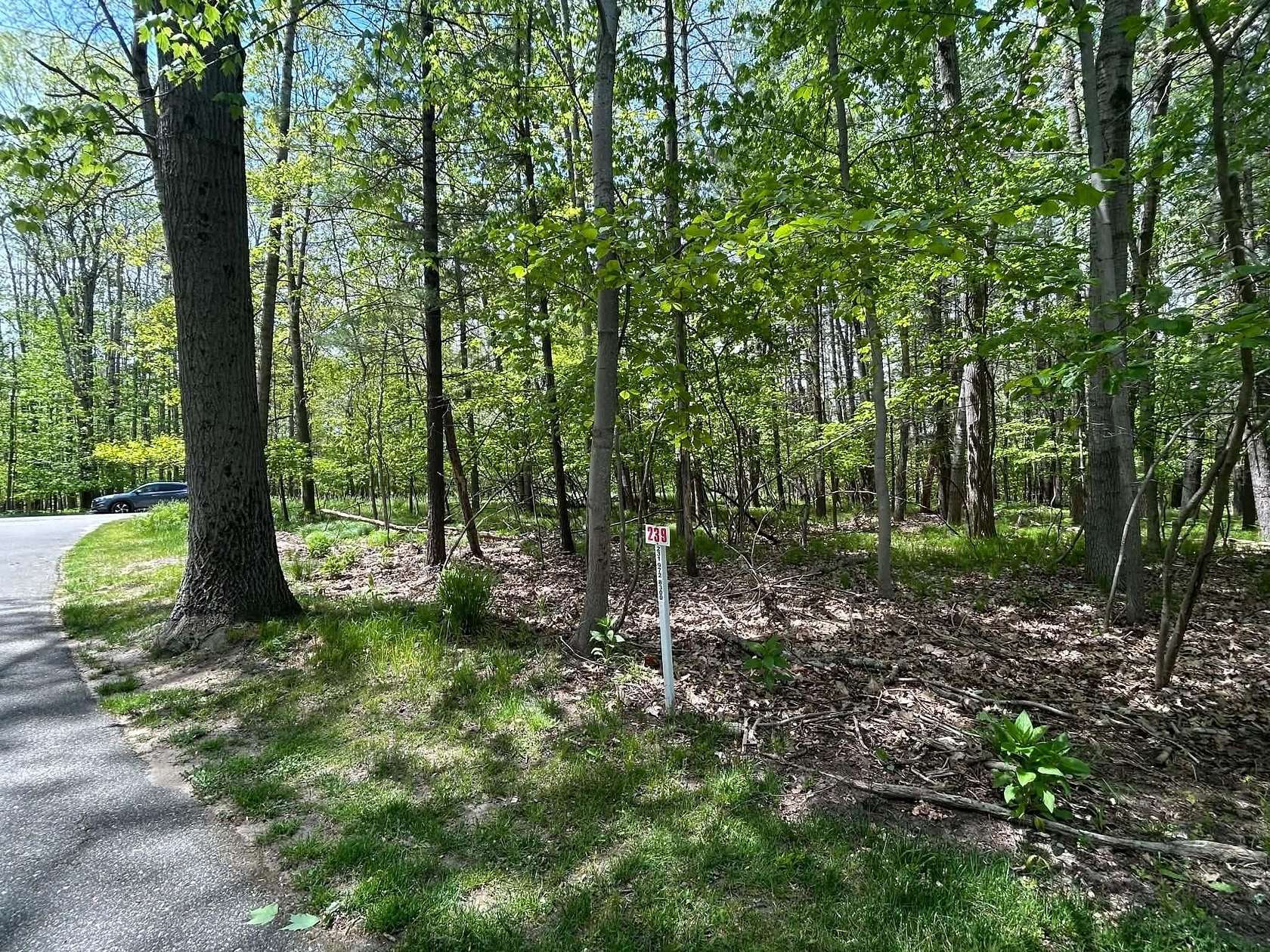 0.46 Acres of Residential Land for Sale in Canadian Lakes, Michigan