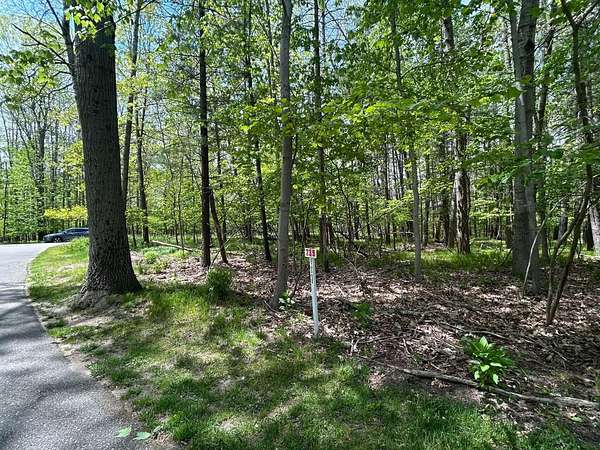 0.46 Acres of Residential Land for Sale in Canadian Lakes, Michigan