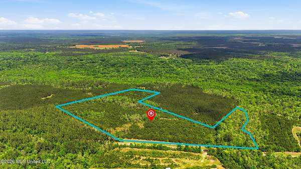 23.4 Acres of Recreational & Residential Land for Sale in Perkinston, Mississippi