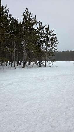 3 Acres of Residential Land for Sale in Elmira, Michigan