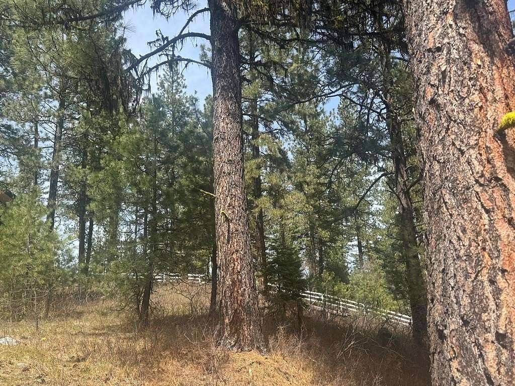 0.55 Acres of Residential Land for Sale in McCall, Idaho
