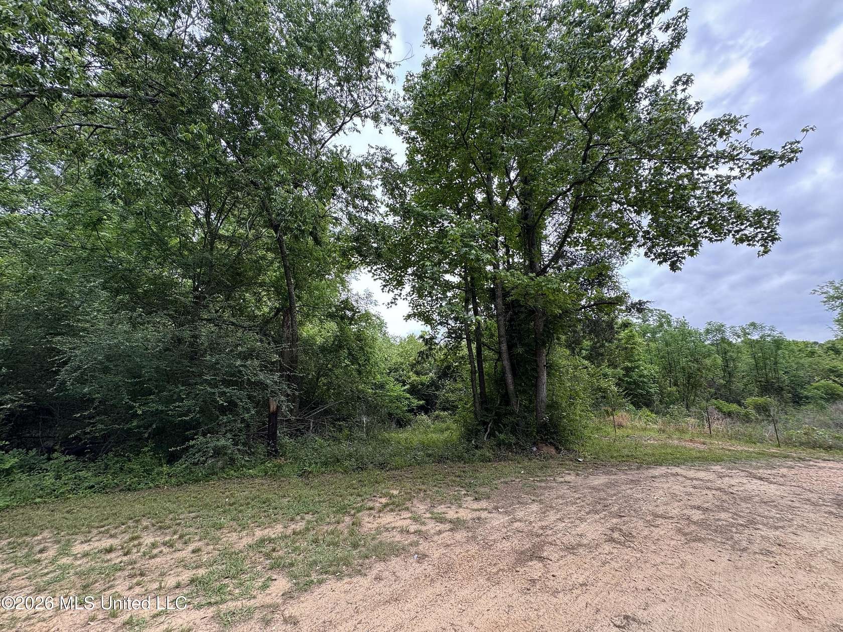 8.44 Acres of Residential Land for Sale in Summit, Mississippi