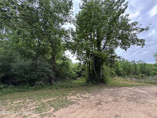 8.44 Acres of Residential Land for Sale in Summit, Mississippi