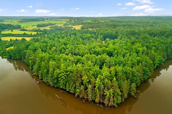 26 Acres of Recreational & Residential Land for Sale in Hillman, Michigan