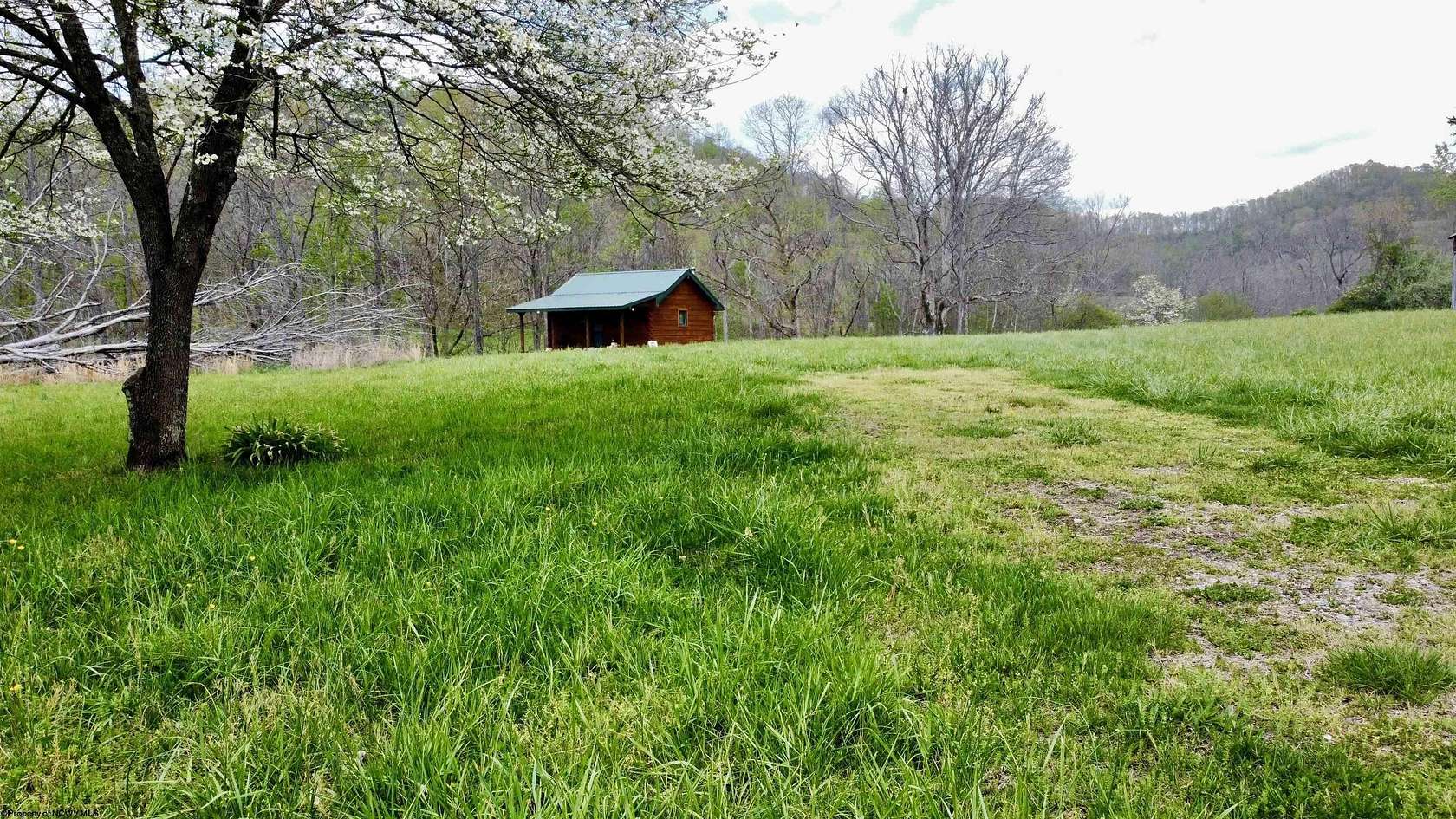 100 Acres of Land for Sale in Orlando, West Virginia