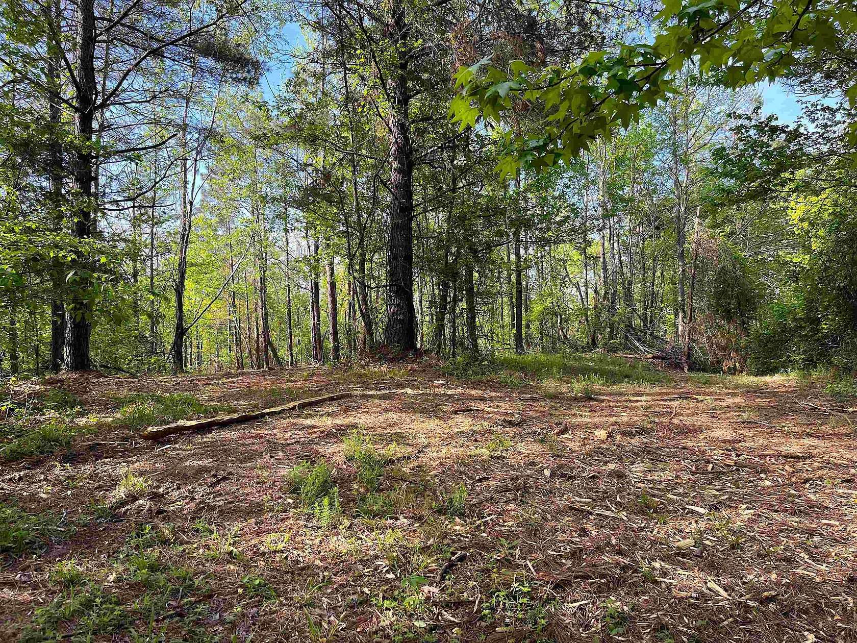 40 Acres of Recreational & Residential Land for Sale in Batesville, Mississippi