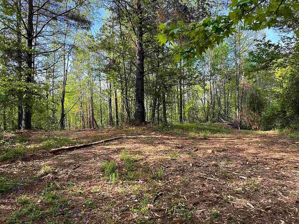 40 Acres of Recreational & Residential Land for Sale in Batesville, Mississippi
