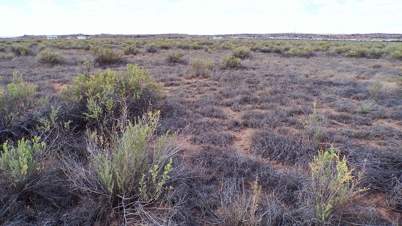 1 Acre of Residential Land for Sale in Sanders, Arizona
