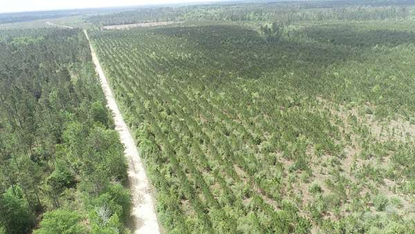 80 Acres of Recreational Land for Sale in DeQuincy, Louisiana