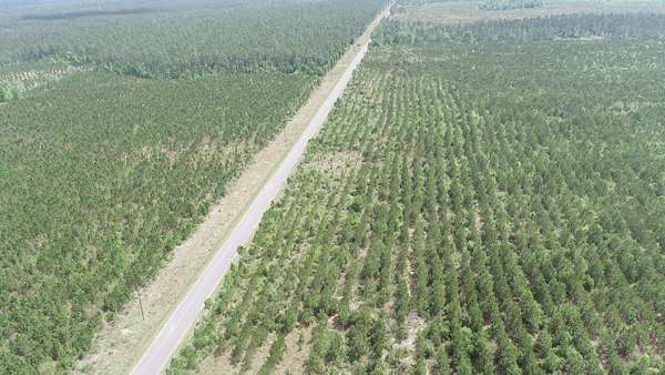 77 Acres of Recreational Land for Sale in DeQuincy, Louisiana