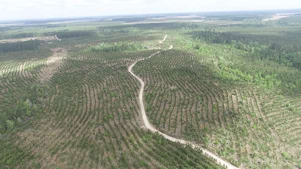 77 Acres of Recreational Land for Sale in DeQuincy, Louisiana