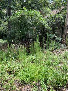 0.19 Acres of Residential Land for Sale in Luverne, Alabama