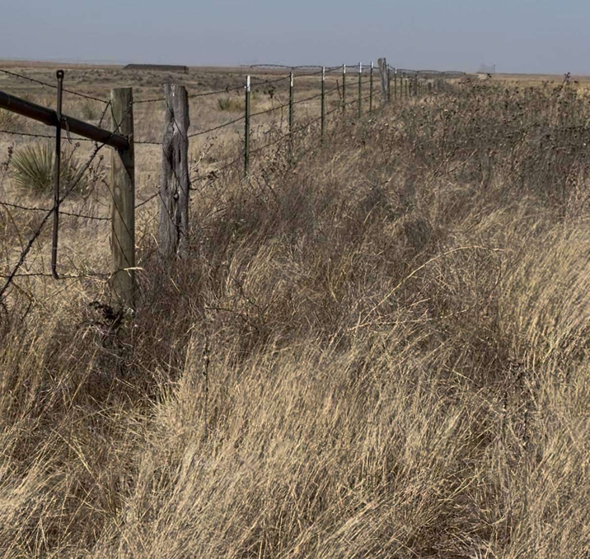 82.9 Acres of Land for Sale in Tyrone, Oklahoma