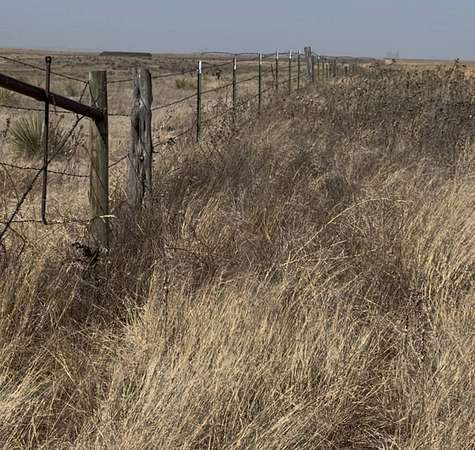 82.9 Acres of Land for Sale in Tyrone, Oklahoma