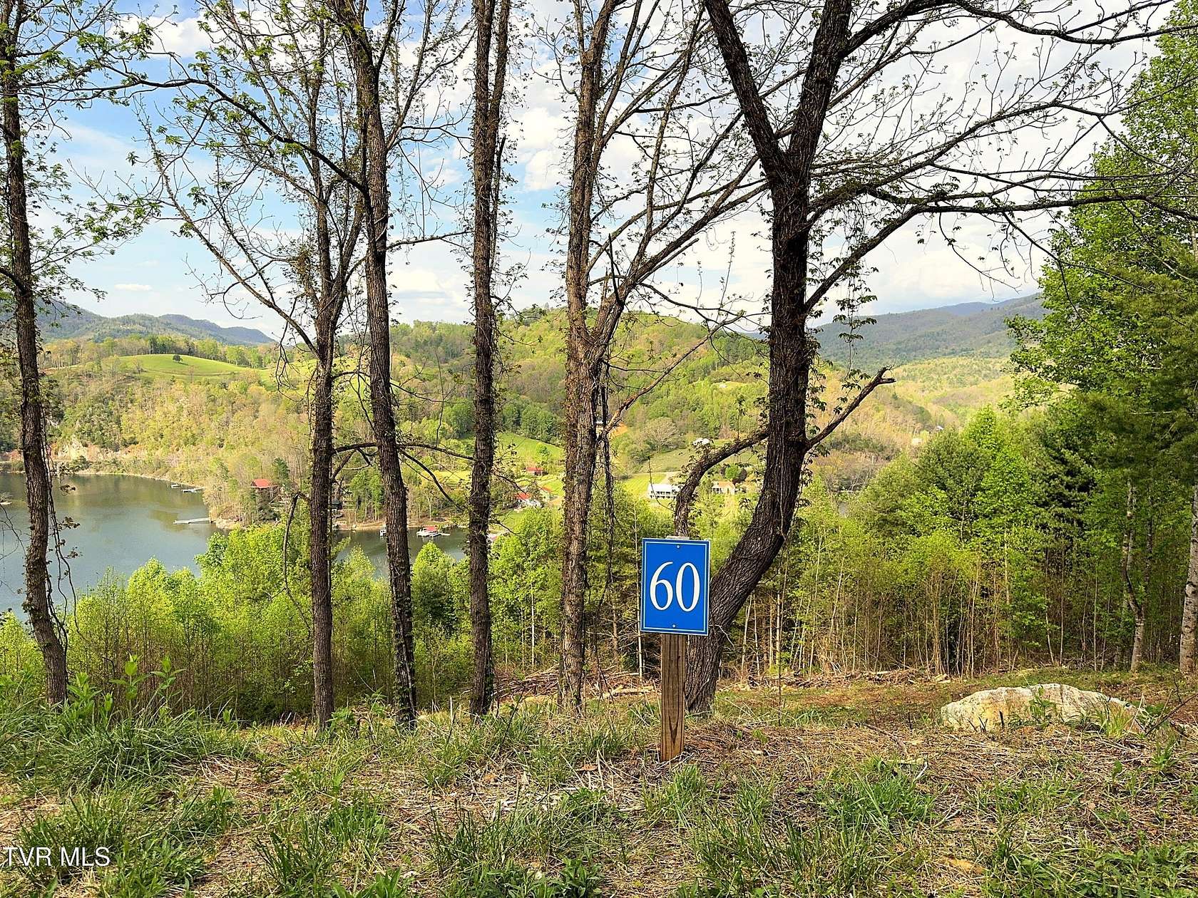 1.14 Acres of Residential Land for Sale in Butler, Tennessee