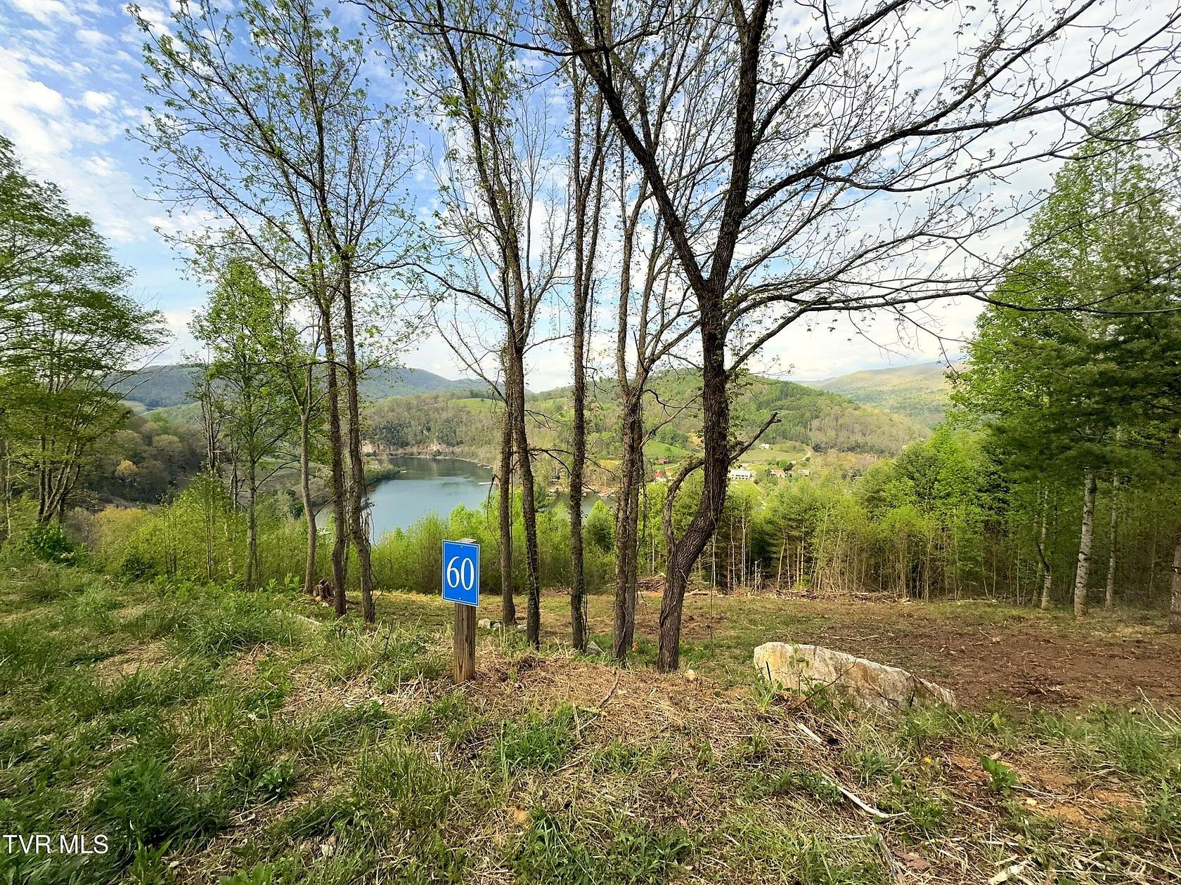 1.14 Acres of Residential Land for Sale in Butler, Tennessee