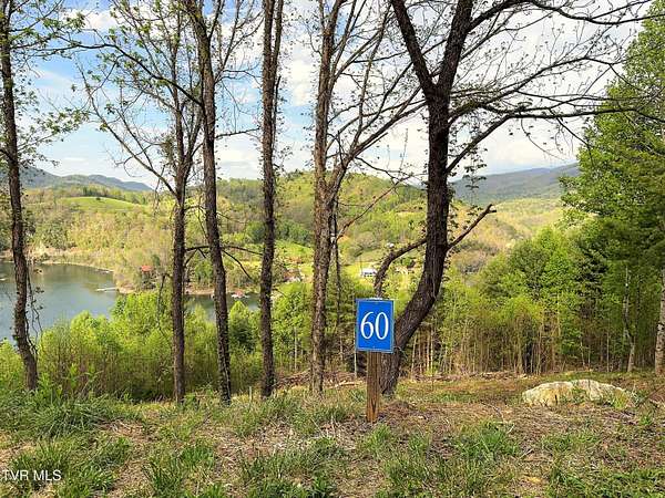 1.14 Acres of Residential Land for Sale in Butler, Tennessee