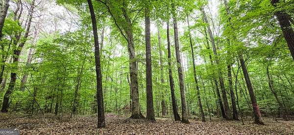 18.5 Acres of Land for Sale in Senoia, Georgia
