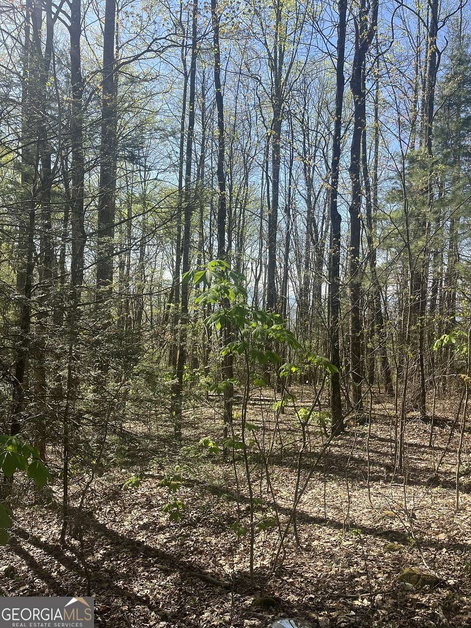 28.8 Acres of Agricultural Land for Sale in Scaly Mountain, North Carolina
