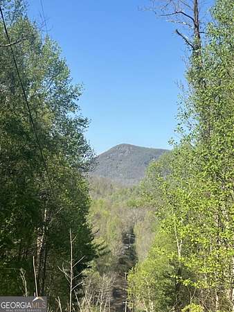 28.8 Acres of Agricultural Land for Sale in Scaly Mountain, North Carolina