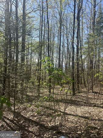 28.8 Acres of Agricultural Land for Sale in Scaly Mountain, North Carolina