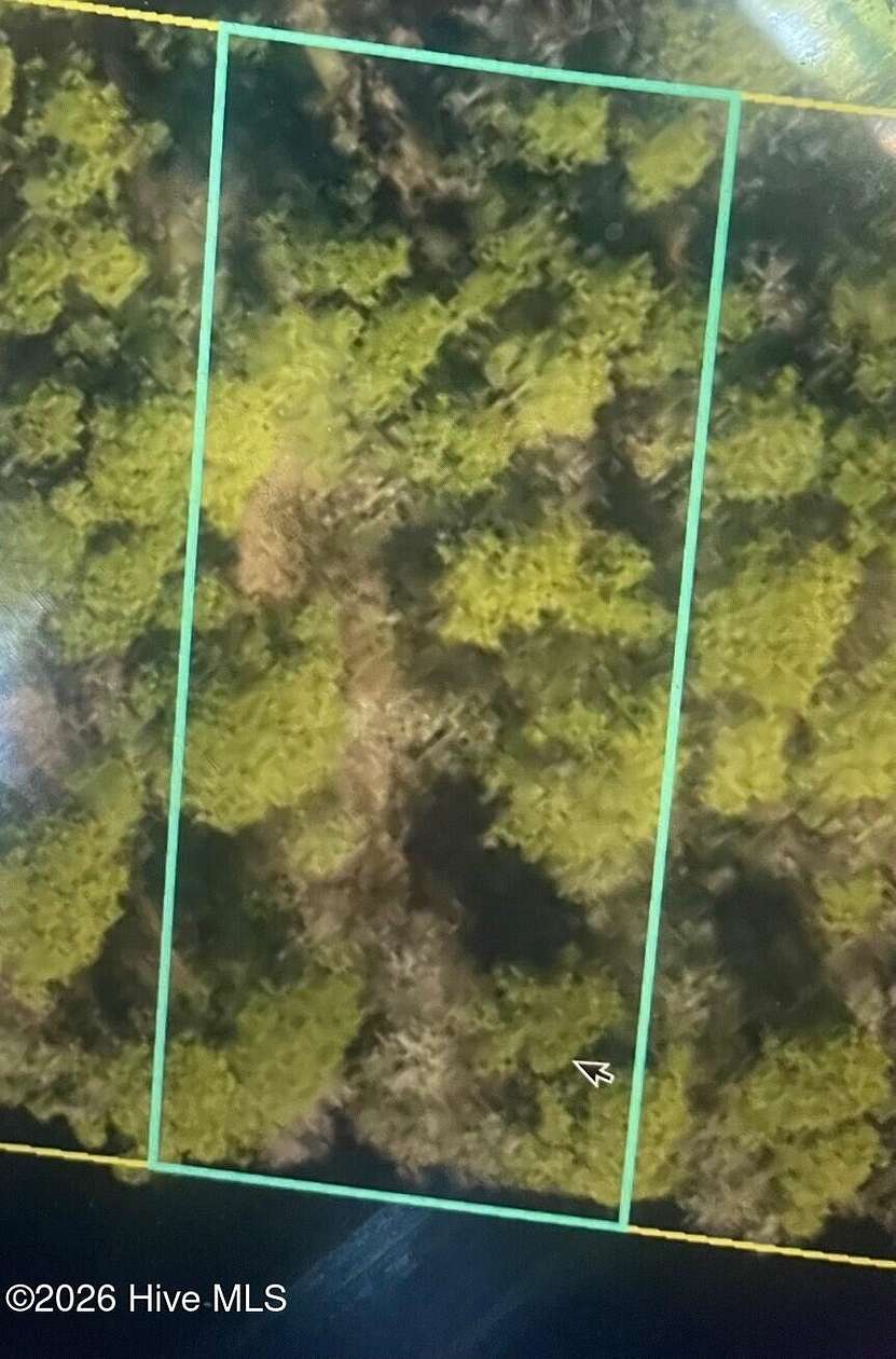 0.43 Acres of Residential Land for Sale in Harrells, North Carolina