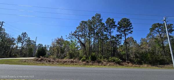 0.8 Acres of Residential Land for Sale in Weeki Wachee, Florida