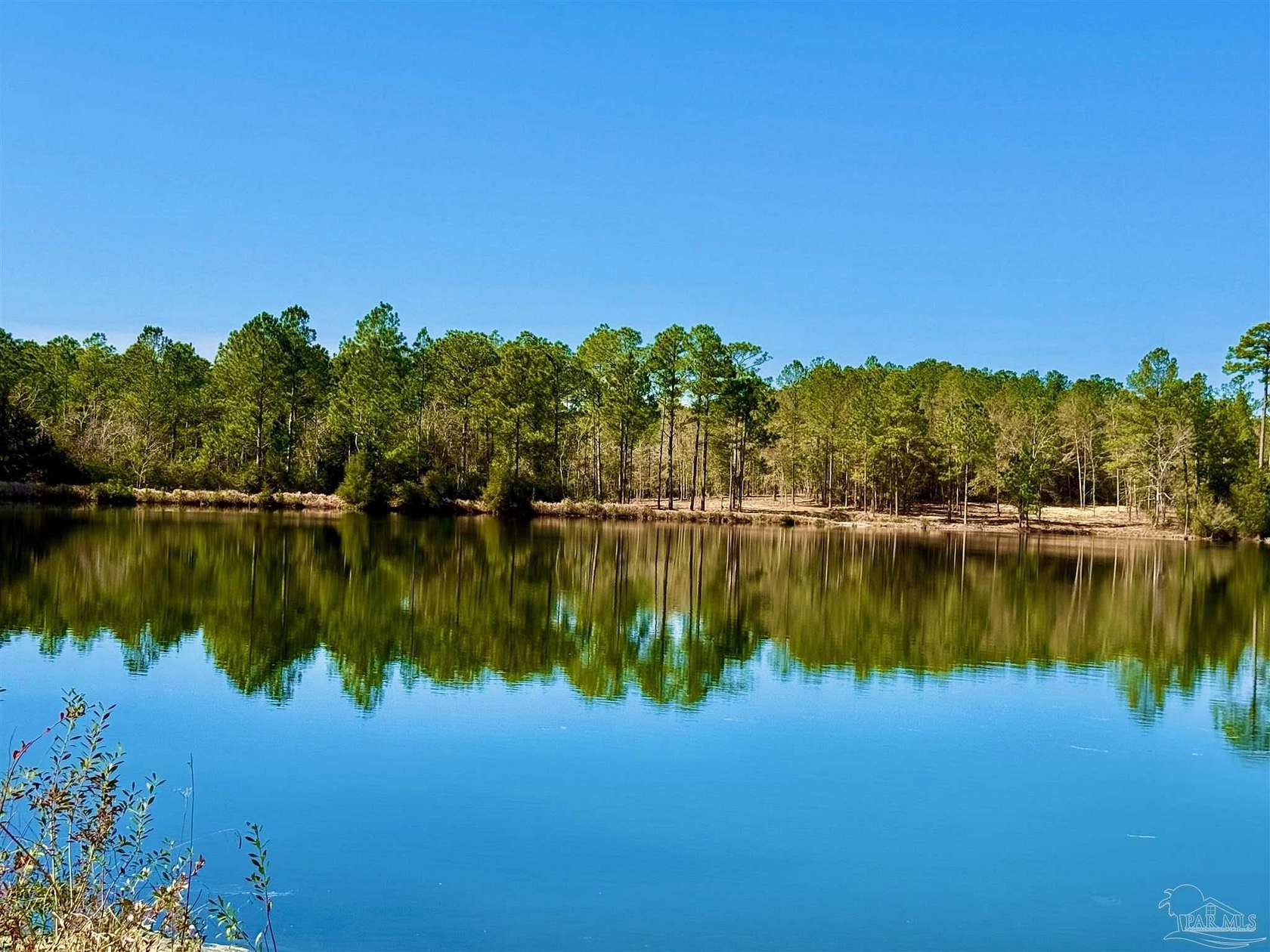54 Acres of Land for Sale in Seminole, Alabama