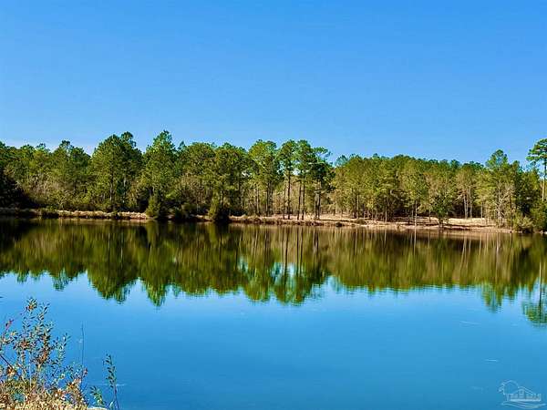 54 Acres of Land for Sale in Seminole, Alabama