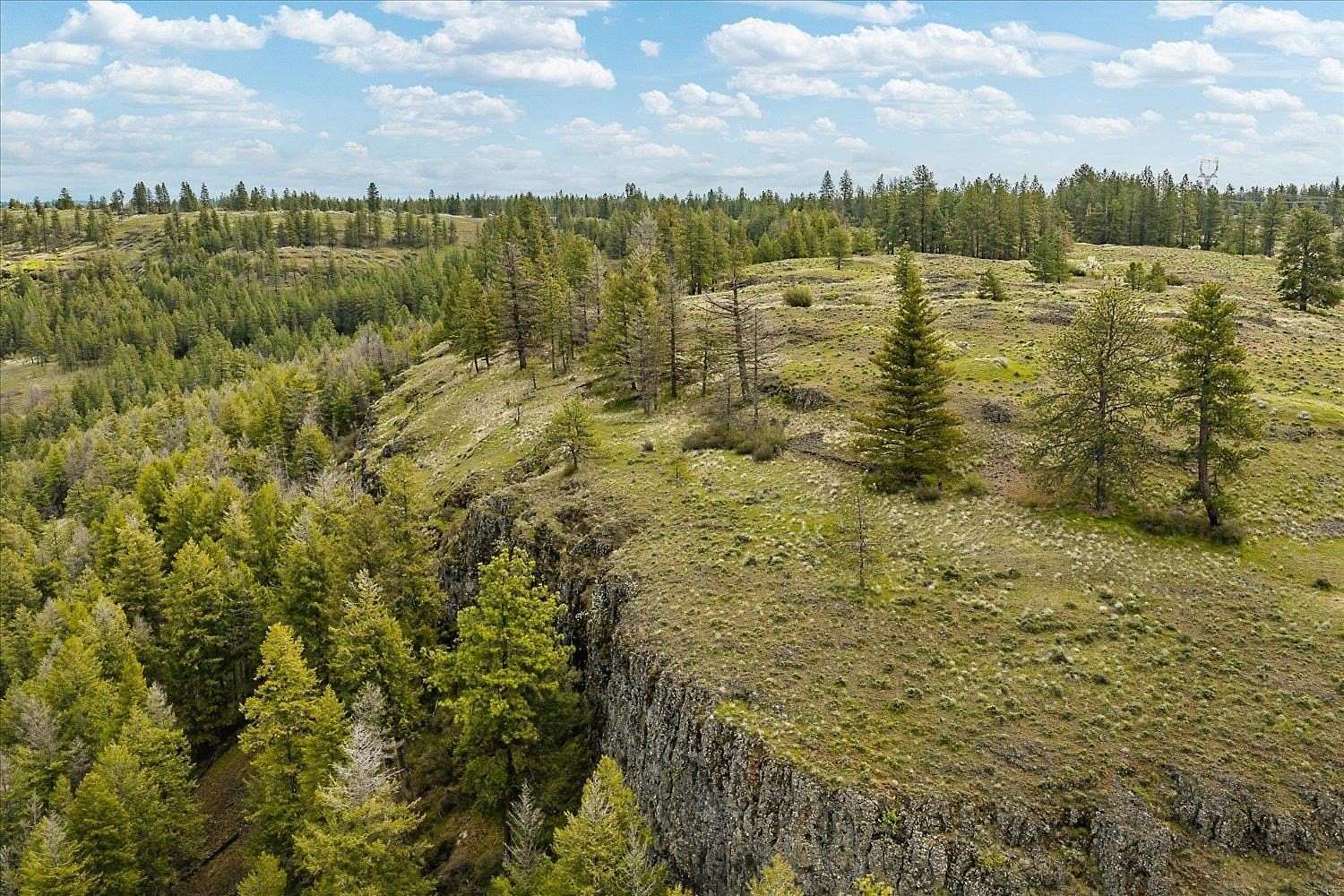 28.8 Acres of Recreational & Residential Land for Sale in Davenport, Washington