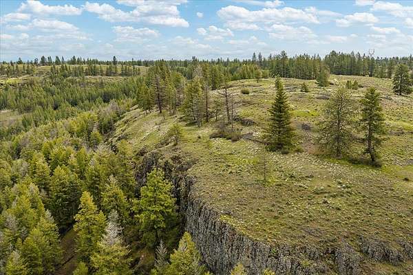 28.8 Acres of Recreational & Residential Land for Sale in Davenport, Washington