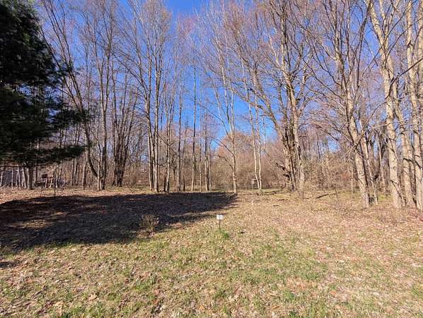 1.4 Acres of Residential Land for Sale in Custer, Michigan