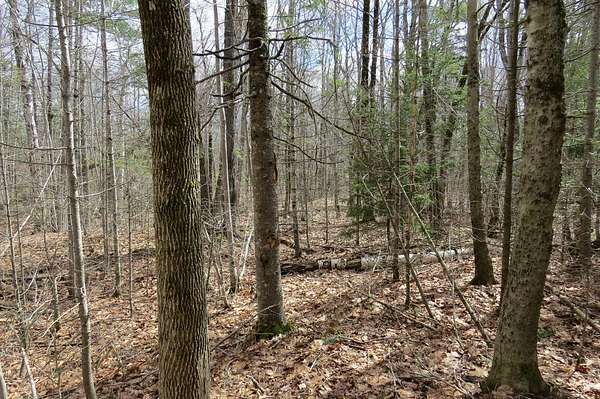 1.8 Acres of Residential Land for Sale in Orland, Maine