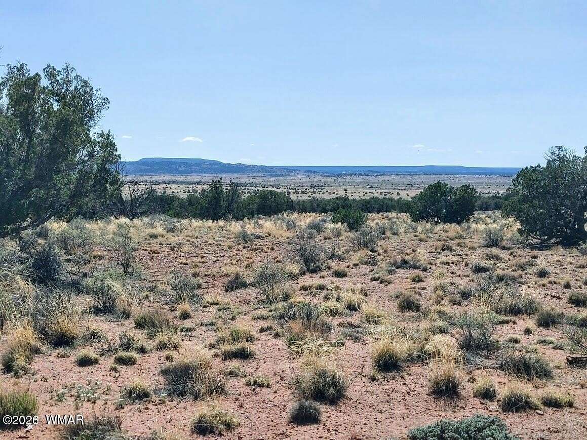 37 Acres of Recreational & Residential Land for Sale in Concho, Arizona