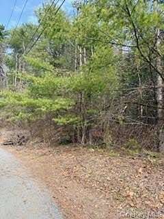 7.9 Acres of Land for Sale in Cuddebackville, New York