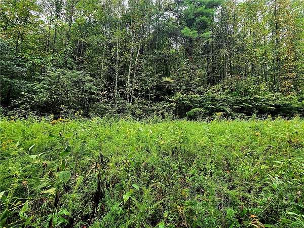 8.4 Acres of Residential Land for Sale in Millers Creek, North Carolina