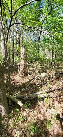 1.77 Acres of Residential Land for Sale in Archdale, North Carolina