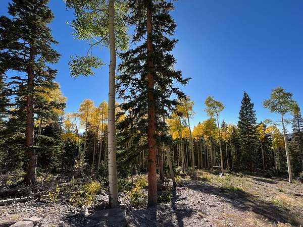 0.6 Acres of Residential Land for Sale in Beaver, Utah