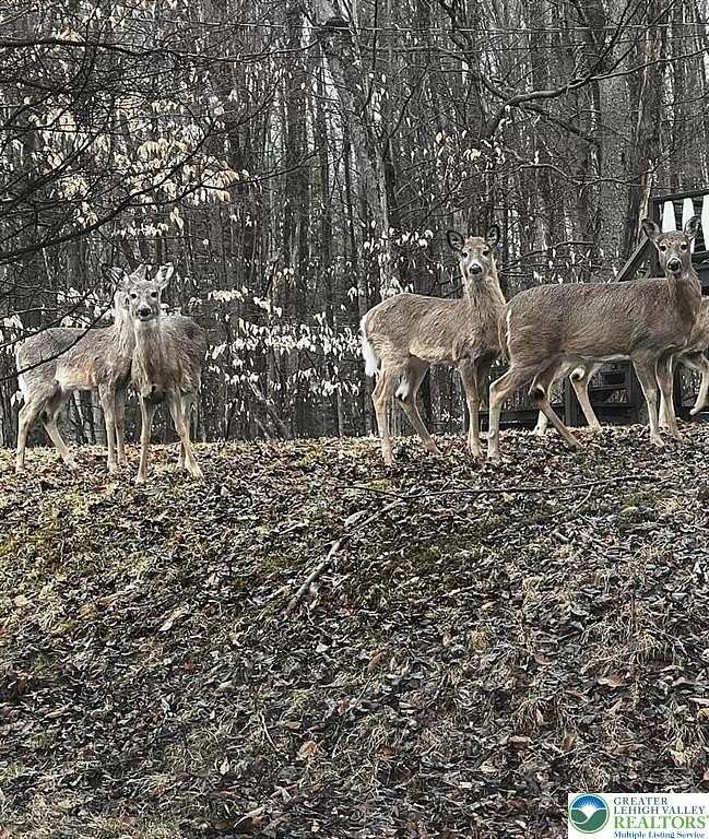 0.28 Acres of Land for Sale in Coolbaugh Township, Pennsylvania