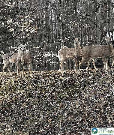 0.28 Acres of Land for Sale in Coolbaugh Township, Pennsylvania