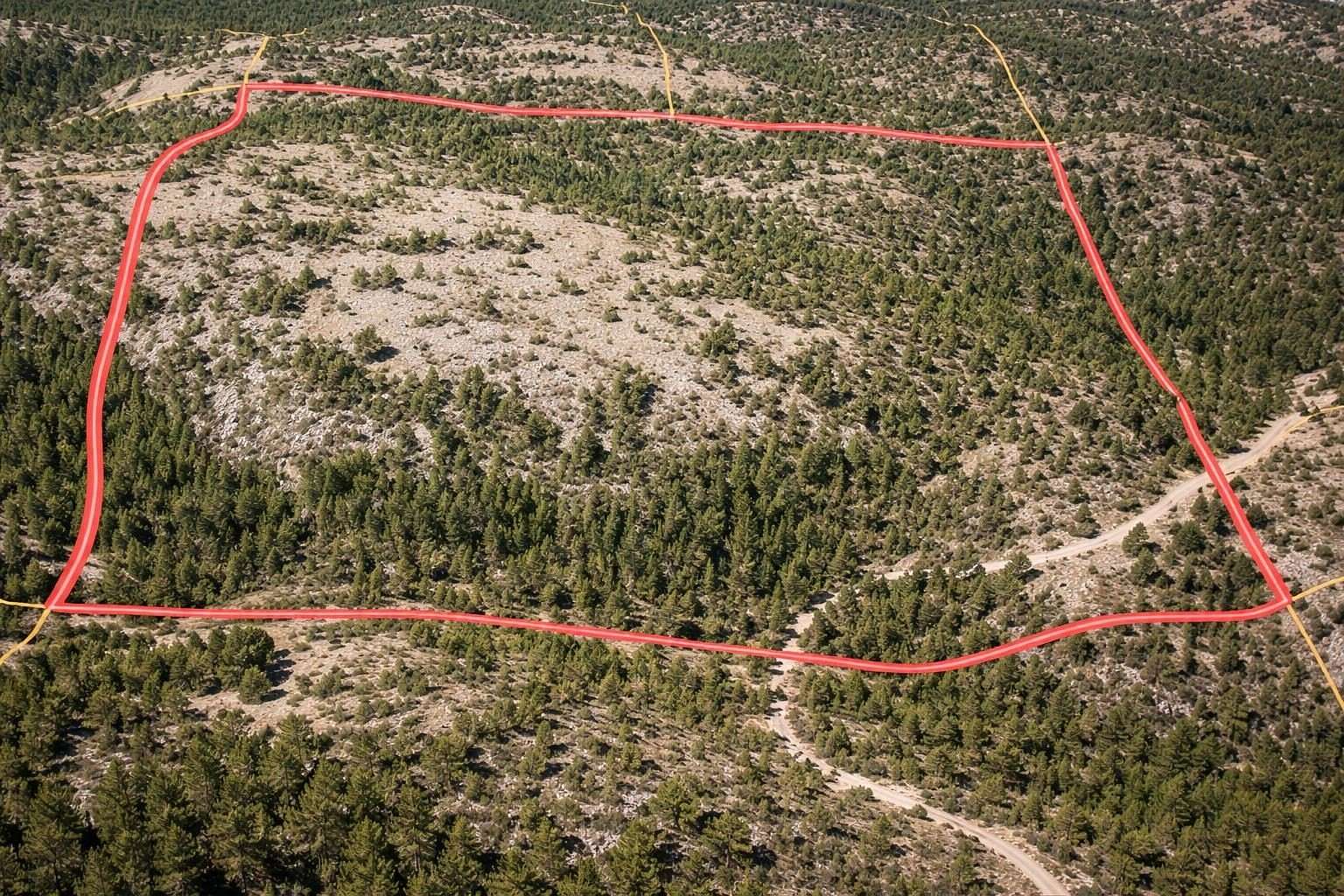 39.5 Acres of Recreational & Residential Land for Sale in Oroville, Washington