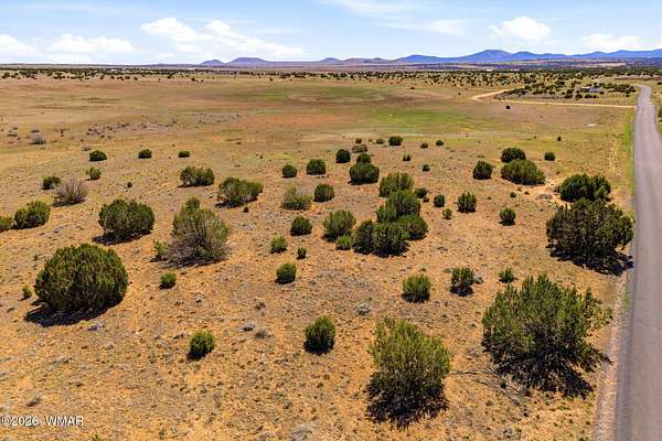 1.2 Acres of Residential Land for Sale in Concho, Arizona