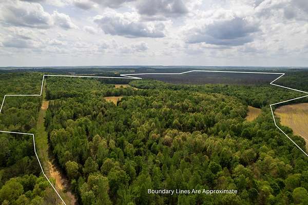 266 Acres of Land for Sale in Greenville, Kentucky