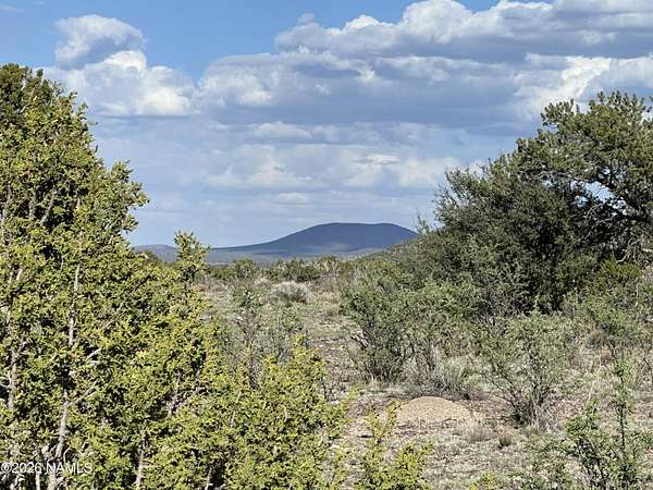 10 Acres of Land for Sale in Williams, Arizona