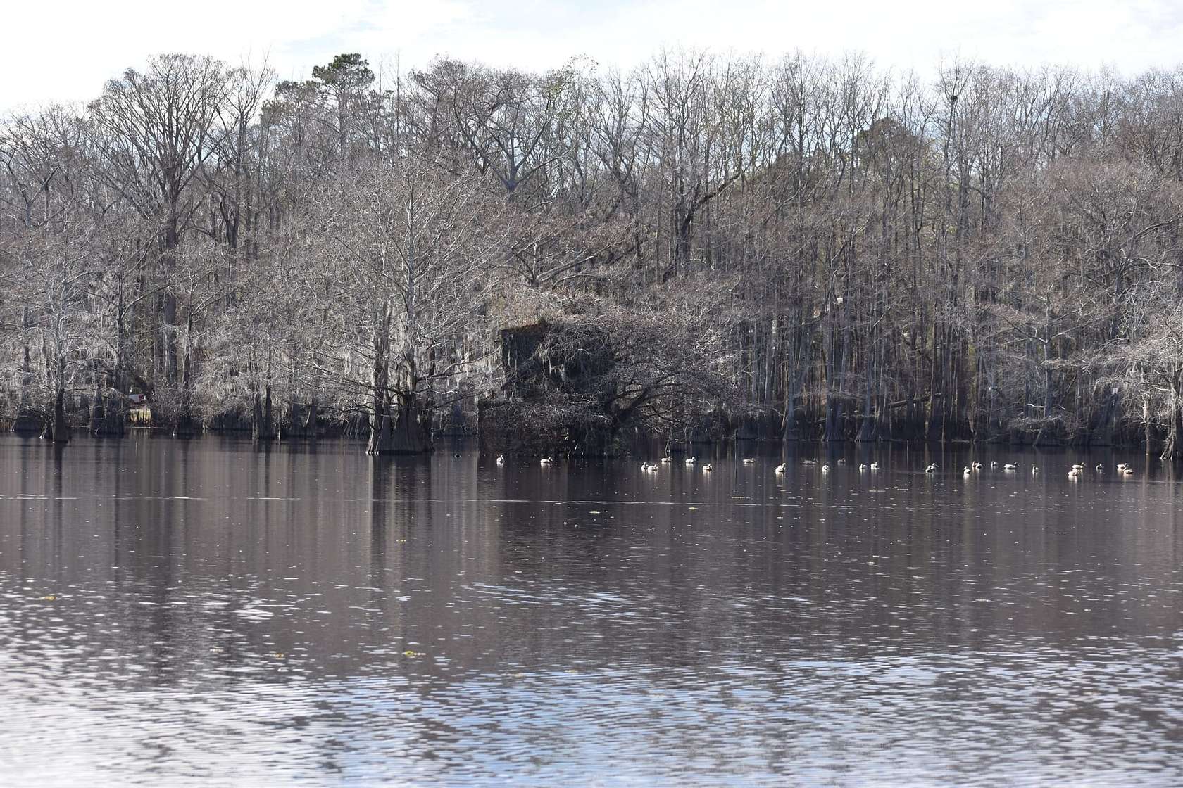 3,473 Acres of Recreational Land for Sale in Alexandria, Louisiana