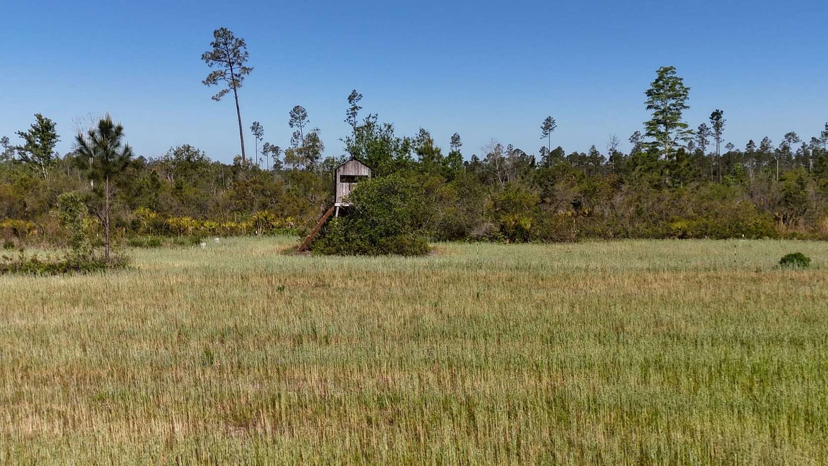 74.5 Acres of Recreational Land for Sale in Greenville, Florida
