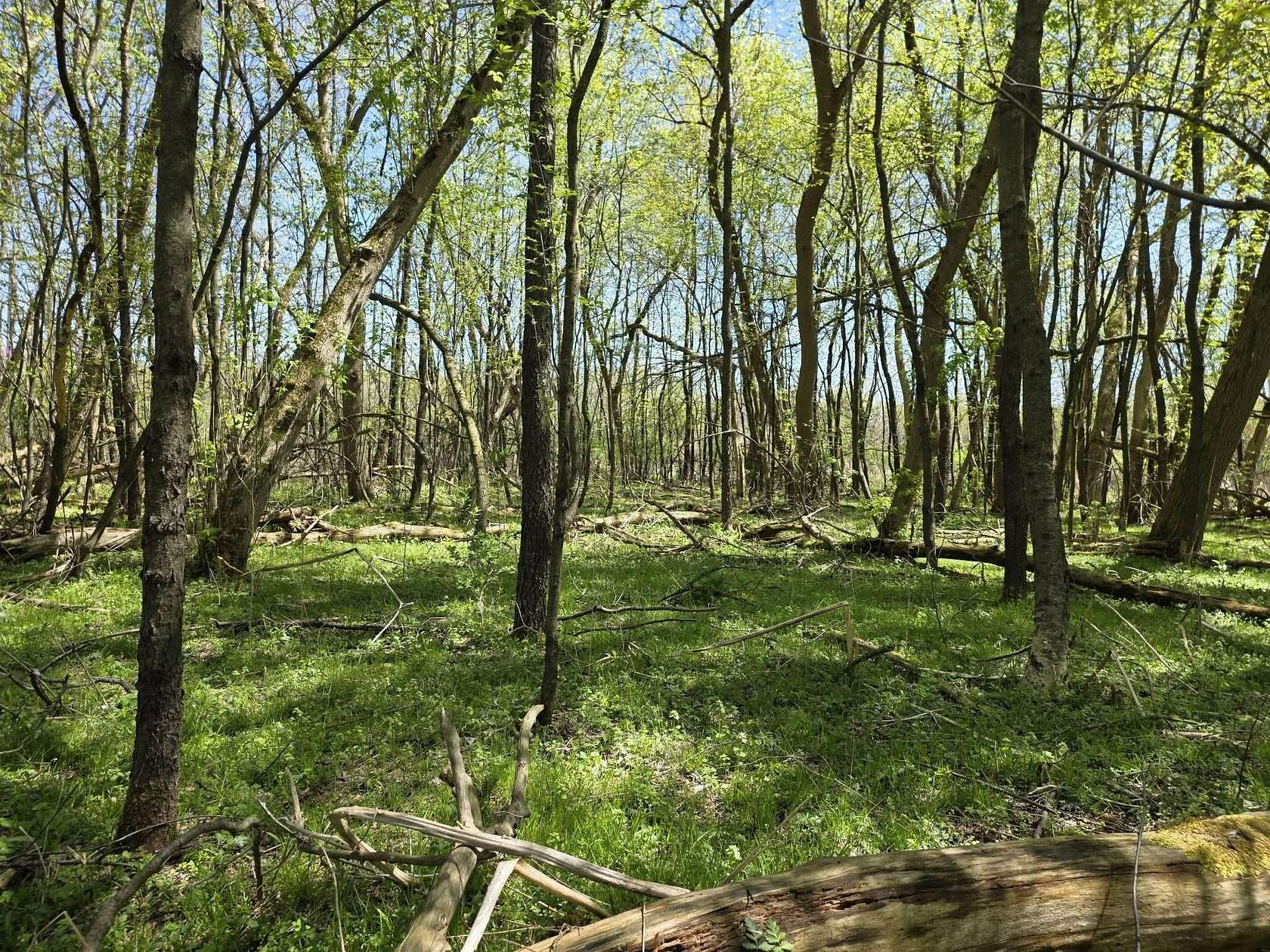 0.25 Acres of Residential Land for Sale in Bellevue, Michigan