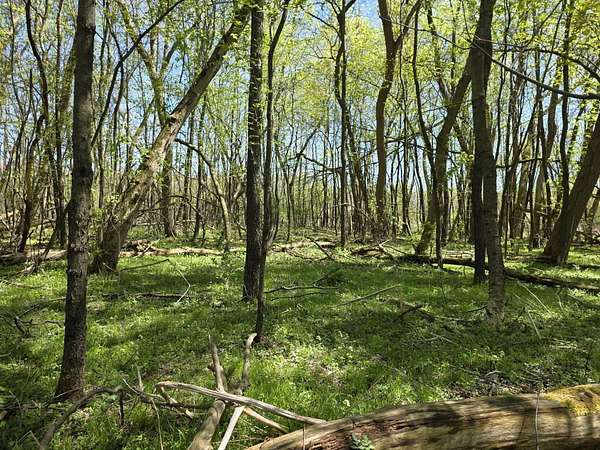 0.25 Acres of Residential Land for Sale in Bellevue, Michigan