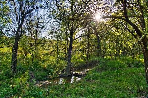 40 Acres of Recreational & Residential Land for Sale in Atoka, Oklahoma